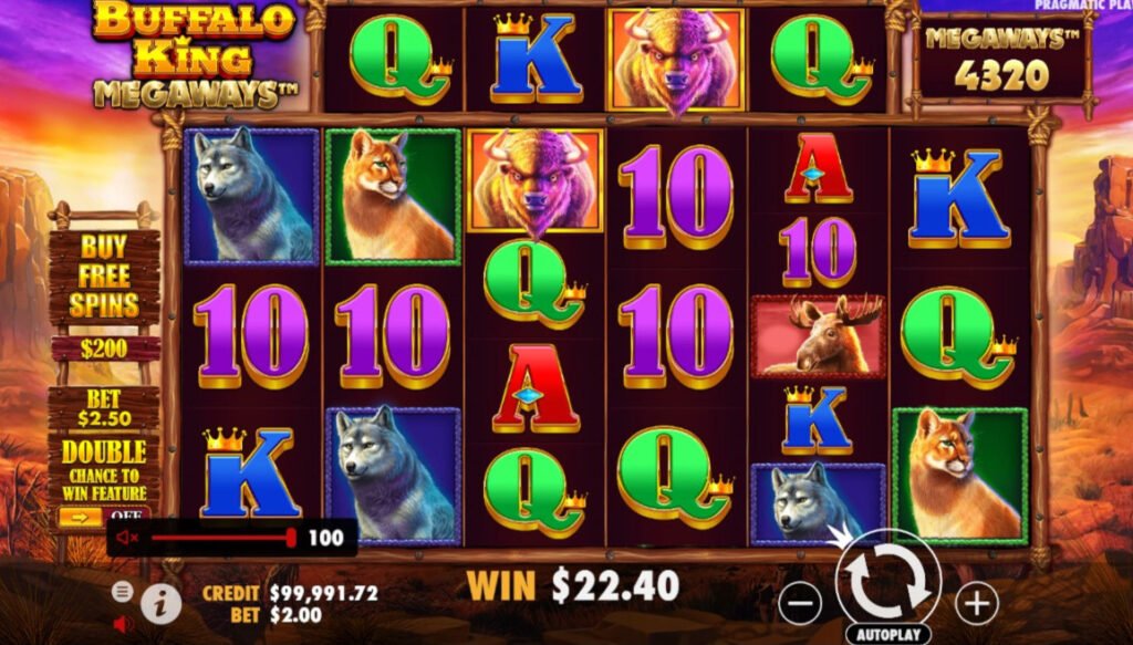 Astuces pour le casino slot, Buffalo King