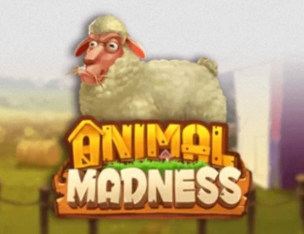Animal Madness, la machine à sous de Play’n Go – Avis et Jouez Gratuitement