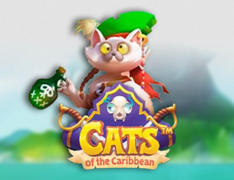 Cats of the Caribbean, le test d’une machine à sous colorée